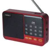 Setty Bluetooth skaļrunis mini FM radio + SFM-01M