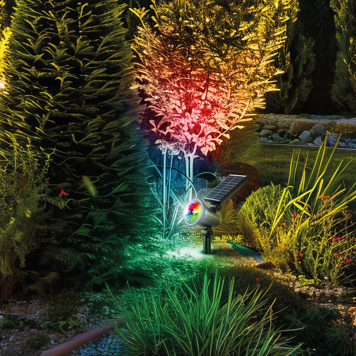 Forever Light gaisma Forever LED saules Spot Sunari FME-190 RGB
