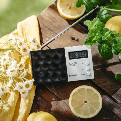 Digitālais radio - PLL FM
