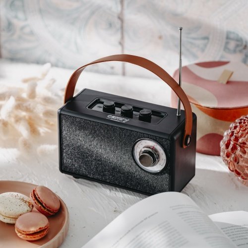 FM radio ar Bluetooth
