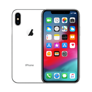iPhone X
